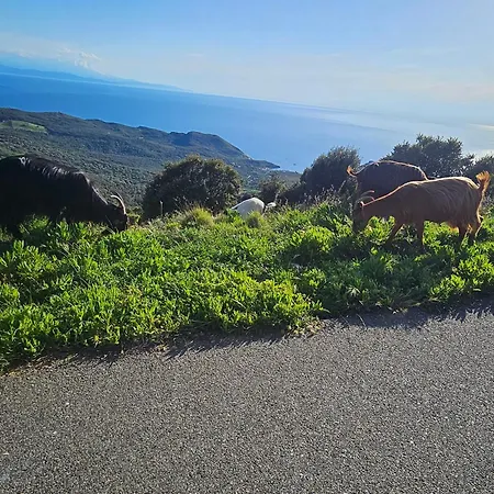Appartement Casa Effet Bastia (Corsica)