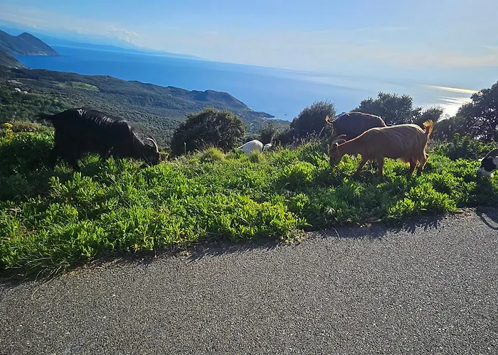 公寓 Casa Effet 巴斯蒂亚